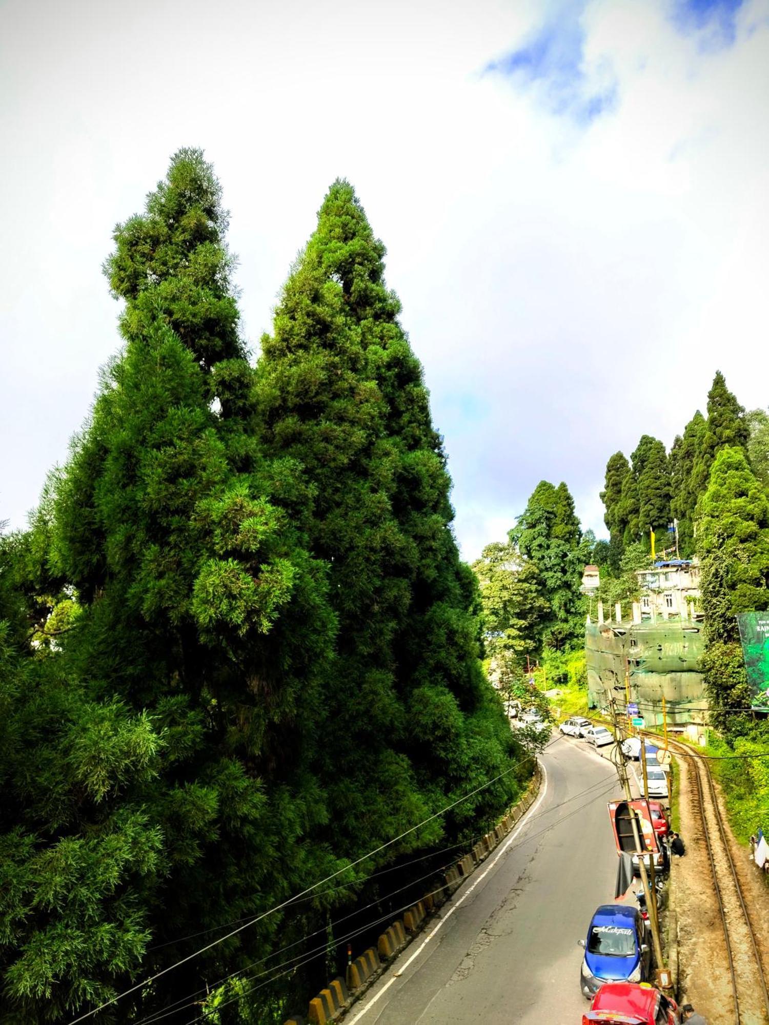 Hidden Monkey Backpackers Darjeeling, Batasia Darjeeling  Dış mekan fotoğraf